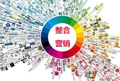 問答營銷實戰指南 高效策略征服百度知道，引爆網絡推廣效果