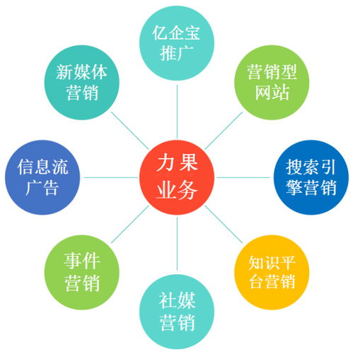 新公司杭州網(wǎng)絡(luò)推廣攻略 高效啟動網(wǎng)絡(luò)營銷的實(shí)戰(zhàn)指南